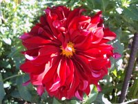 photos 2000-200902739